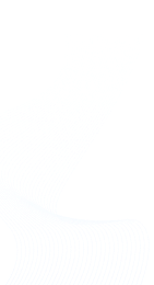 Left Icon