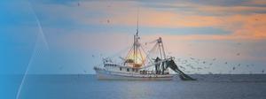 aquasur: barco de pesca.