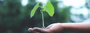 sustentabilidad y transformación digital en minería