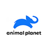logo canal Animal Planet